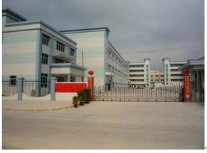 精準計量，品質先行——廣州市上博電子衡器與儀器儀表銷售服務